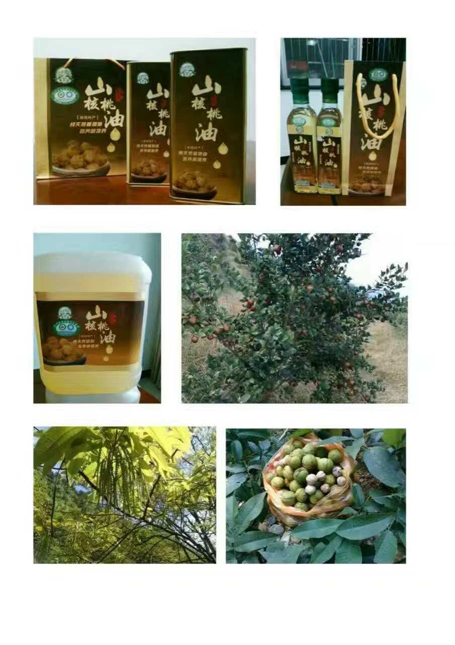 常德液壓壓榨機,常德固液分離機,常德壓濾機,常德粉碎機 常德液壓壓榨機,常德固液分離機,常德壓濾機,常德粉碎機